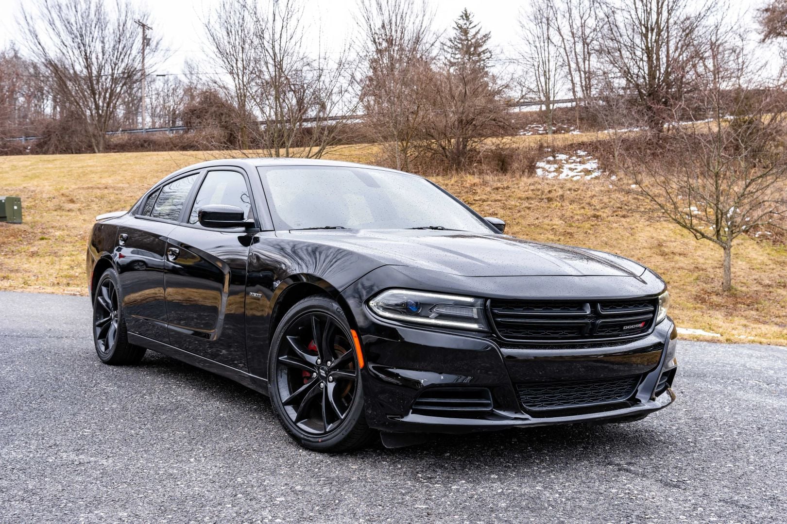 2017 DODGE CHARGER